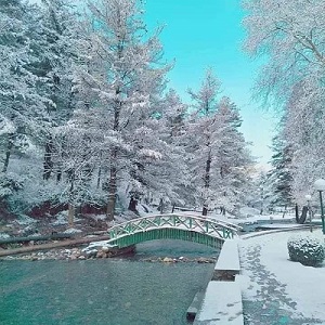 Kashmir: The mini winter wonderland 
