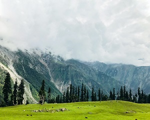 Kashmir: The mini winter wonderland